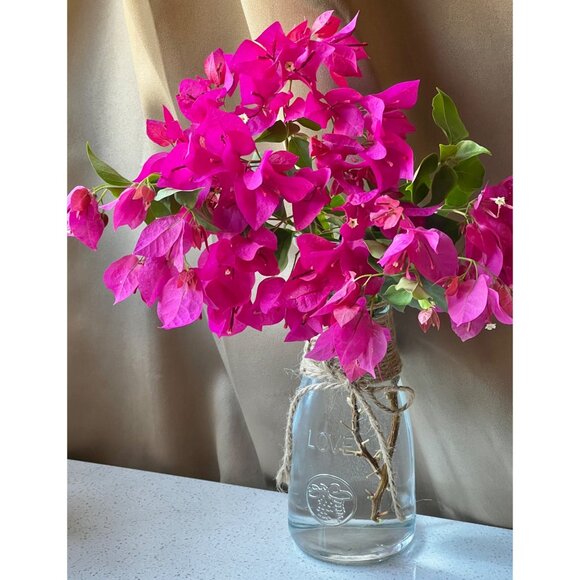 Glass Carafe Wine Water Juice Vase Twine & Bow Embossed w/ Love 8x3”D Wedding - Picture 7 of 10